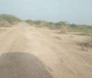 Jaisalmer patrika