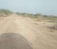 Jaisalmer patrika