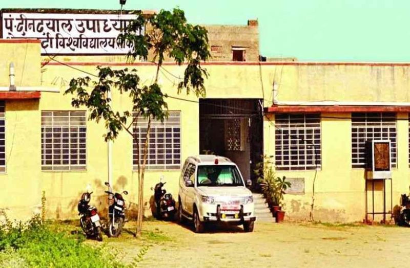 shekhawati university