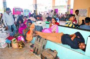 110 buses missing from satna routes