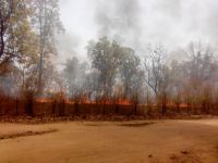 when fire in Vanmandladhikari office, Read fire news