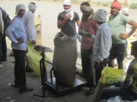 Birth, Quintals, Message, farmer, bhind news, bhind news in hindi, mp news