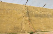 bandikui jail