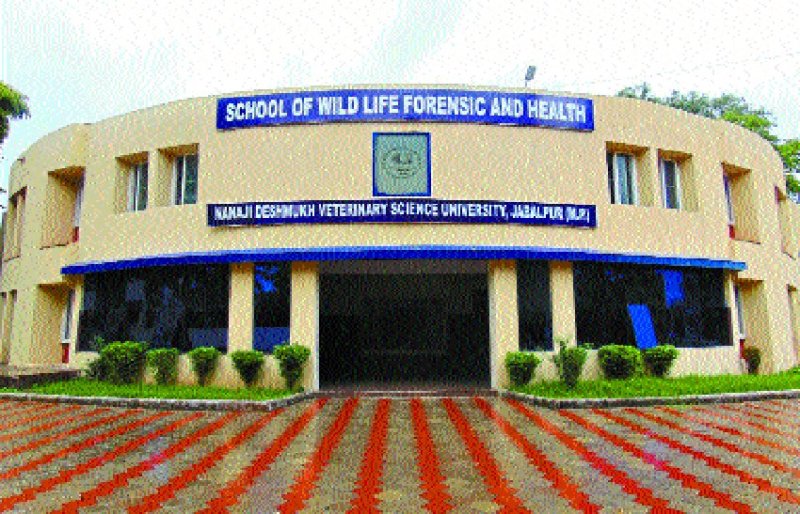 School of Wildlife become National Institute