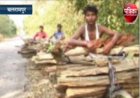 Danger on Extinction animal