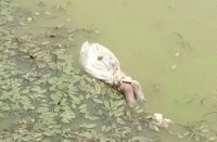 क्राइम ब्रांच सहित आसपास थाने के स्टाफ पहुंचे मौके पर