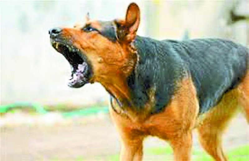 अस्पताल व नगर निगम सवालों के घेरे में