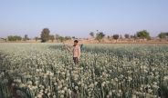 Farming innovation