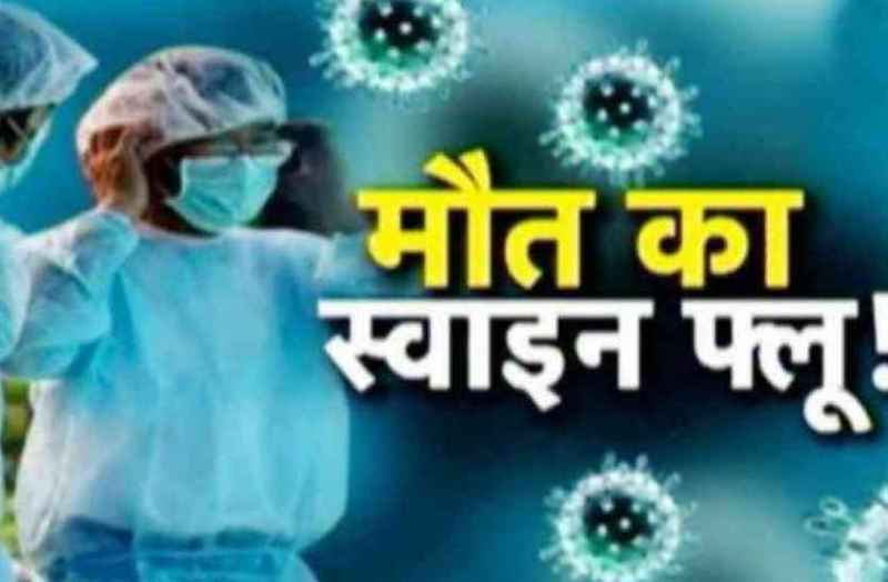 bhilwara, bhilwara news, Death of elderly swine flu in bhilwara, Latest news in bhilwara, Bhilwara News in hindi, Hindi News in bhilwara, Latest hindi news in bhilwara