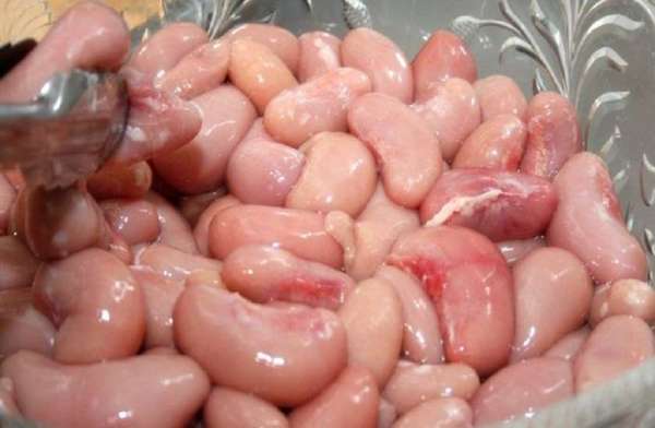 Prime Minister Narendra Modi,Narendra Modi China visit,pm modi in china,PM Modi china visit,world most weird food,tourist go other countries to eat weird food,