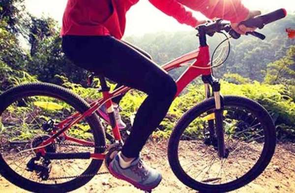 साइकिल चलाएं