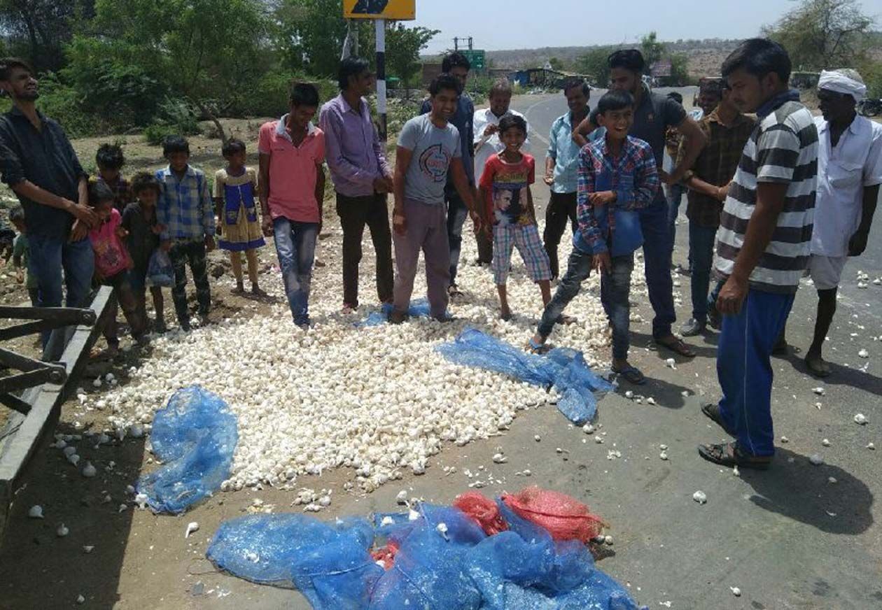 after listen 2 rupees per kg rate in mandi, farmers thrown garlic on road