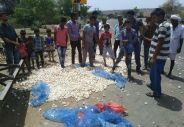 after listen 2 rupees per kg rate in mandi, farmers thrown garlic on road