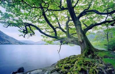 Short video poster image