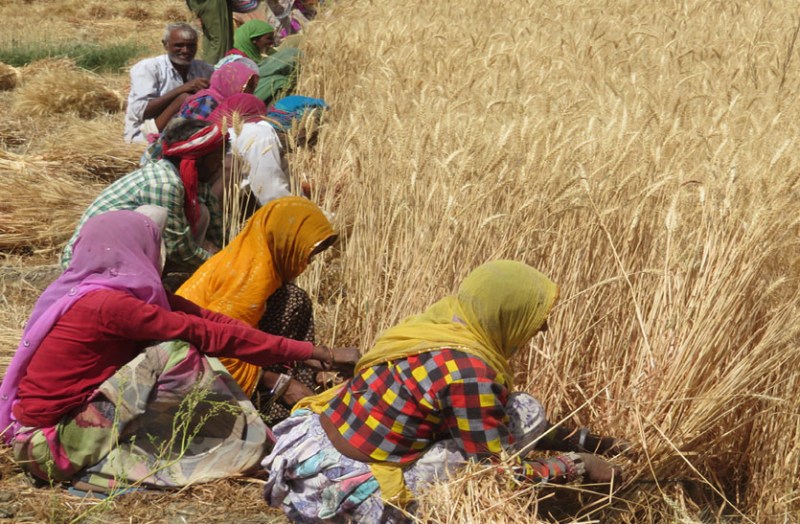 कर्ज माफ