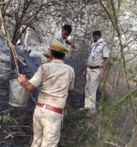 Burning two thousand plants in the forest department's nursery