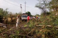 road accident, weather, road acident due to weather, ashoknagar, ashoknagar news, patrika bhopal, 