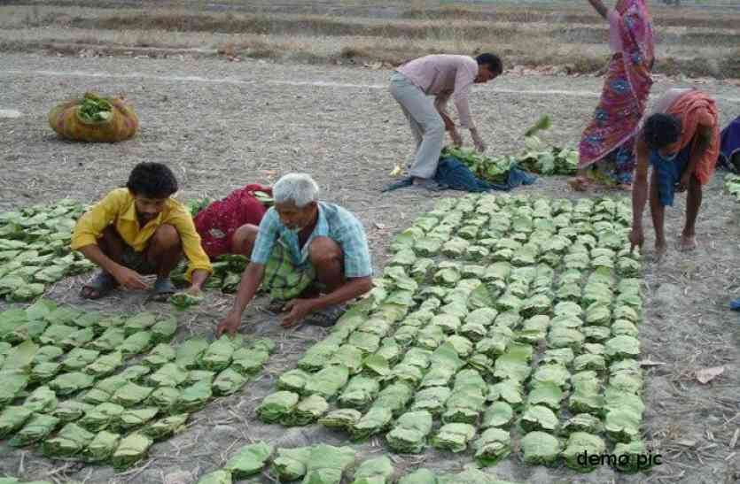 Latest International labor day