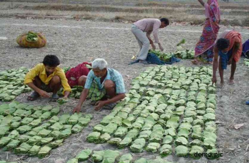 Latest International labor day