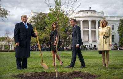 Short video poster image