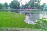 इमलीडुग्गू पोखरी और तालाब का भी हाल बुरा