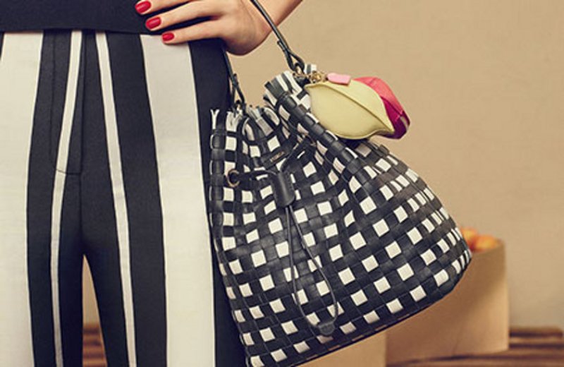 ladies purse and bags in fashion