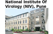 niv