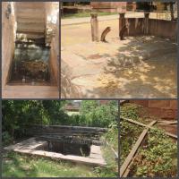 मंडोर उद्यान हरा-भरा करने वाले प्राचीन जलस्रोत बदहाली के कगार पर