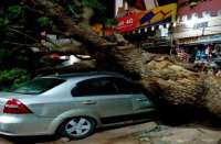 News in Hindi,jodhpur news,jodhpur latest news,