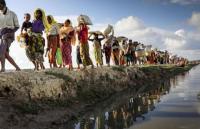 rohingya refugees in banglades