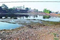 Satna Nagar Nigam Ward No. 1 news in hindi