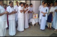 Staff nurses