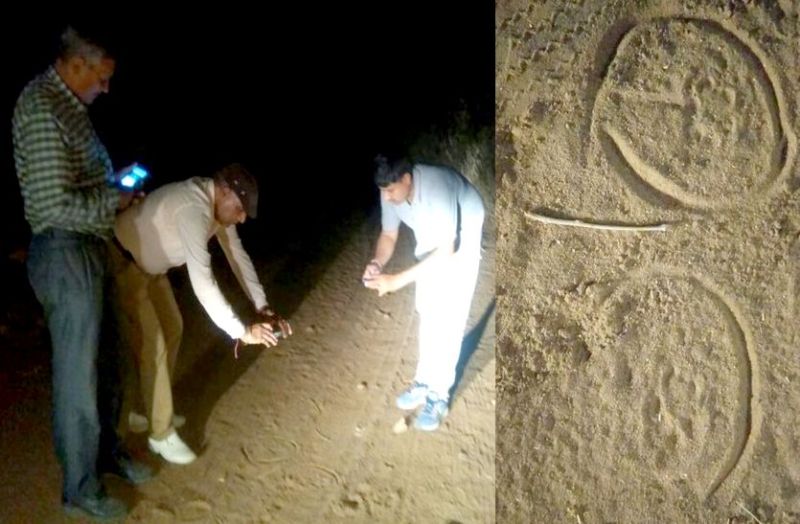 wildlife calculation in neem ka thana ganeshwar sikar live news