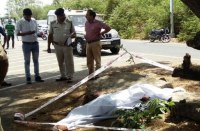 women murder in Shahpur