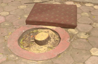 robbery of Chandan trees