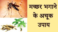 ghar se machar bhagane ka tarika