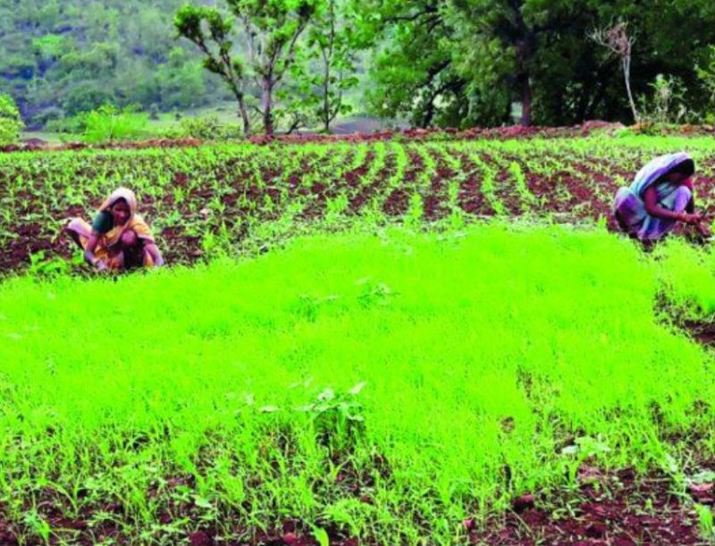 Farmers Welfare Workshop