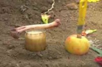 नही प्रताडऩा का केस दर्ज किया गया