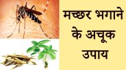 ghar se machar bhagane ka tarika