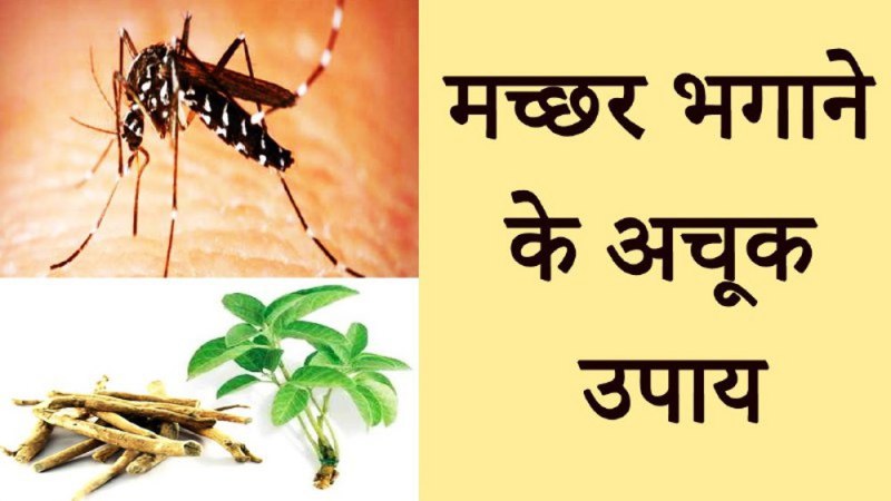 ghar se machar bhagane ka tarika