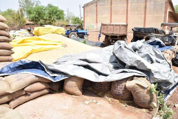 किसानों की मेहनत पर पड़ा पानी, देखें इन तस्वीरों में