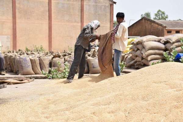 किसानों की मेहनत पर पड़ा पानी, देखें इन तस्वीरों में
