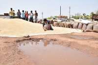 किसानों की मेहनत पर पड़ा पानी, देखें इन तस्वीरों में