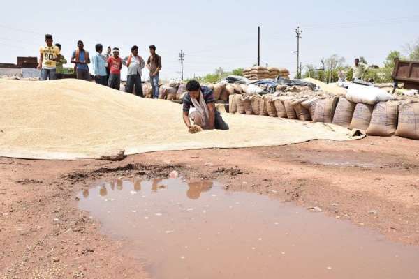 किसानों की मेहनत पर पड़ा पानी, देखें इन तस्वीरों में