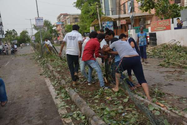 Helping hands helped in removing trees
