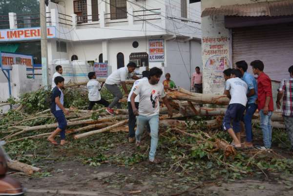 Helping hands helped in removing trees