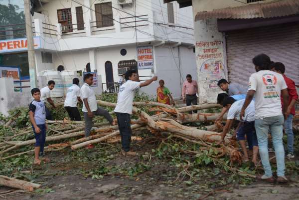 Helping hands helped in removing trees