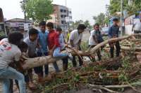 Helping hands helped in removing trees