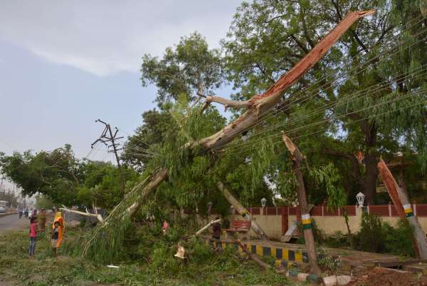 Photos of loss in alwar by storm