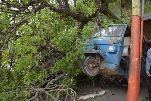Photos of loss in alwar by storm
